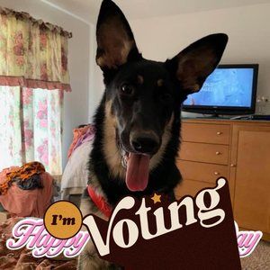 Meet your Posher, Susan